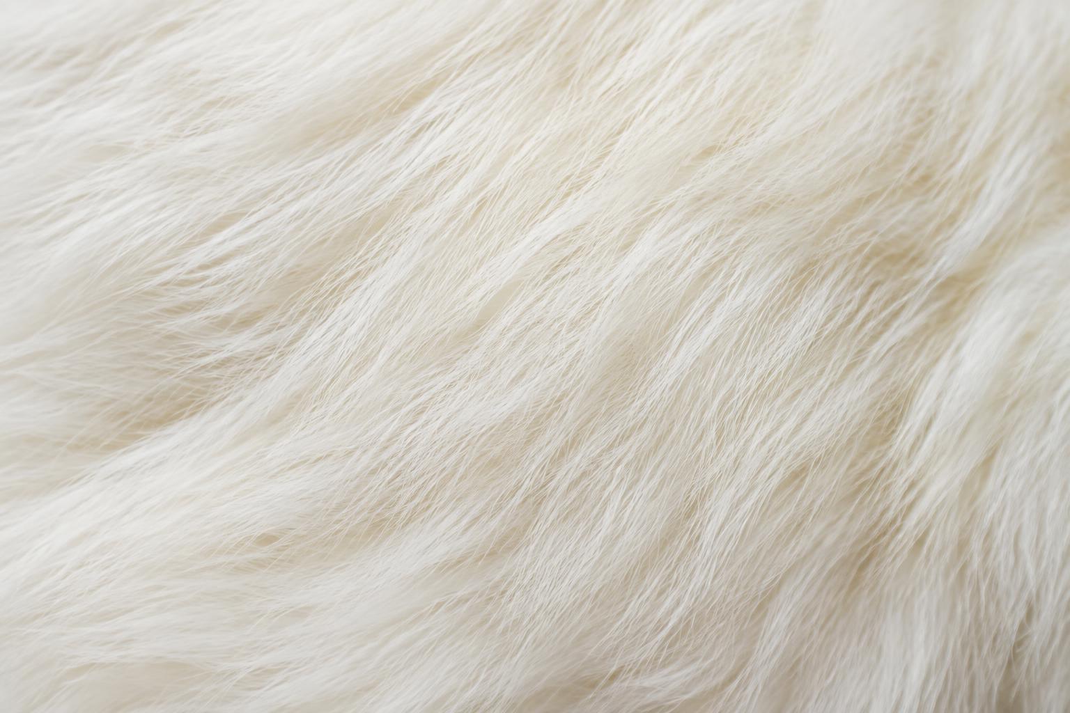 Détail de fourrure blanche